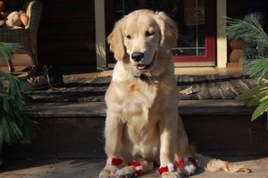 smilebox_173725922 smilebox_173725922